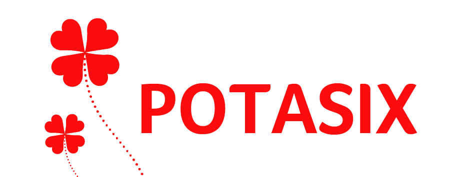 Potasix Logo